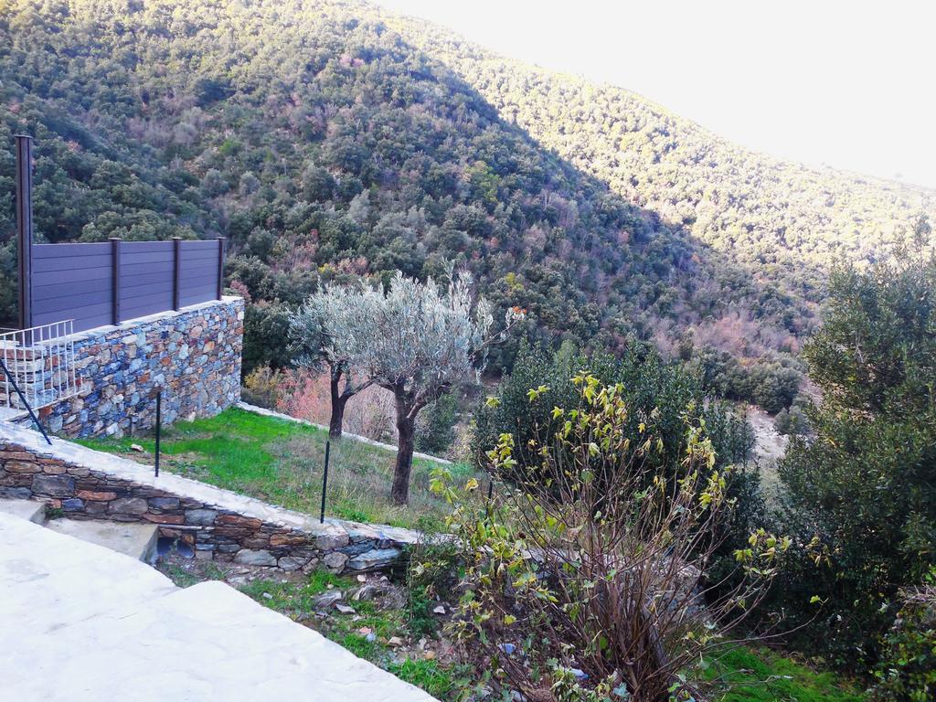 Saint Christophe Omessa Εξωτερικό φωτογραφία